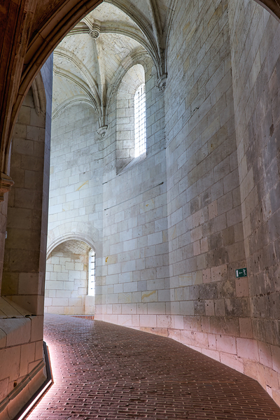 Chateau dAmboise offers views of historic architecture in Franc Digital Download