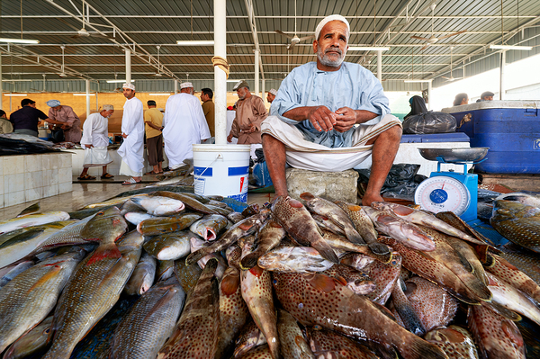 Visit to the muscat fish market in oman during the day Digital Download