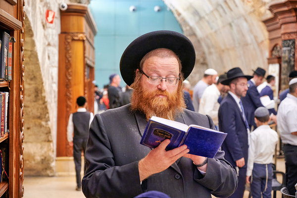 Orthodox Jews pray at the Western Wall in Jerusalem Digital Download