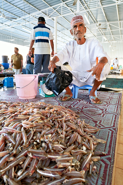 Muscat Oman fish market shows daily life of fishermen and buyers Digital Download