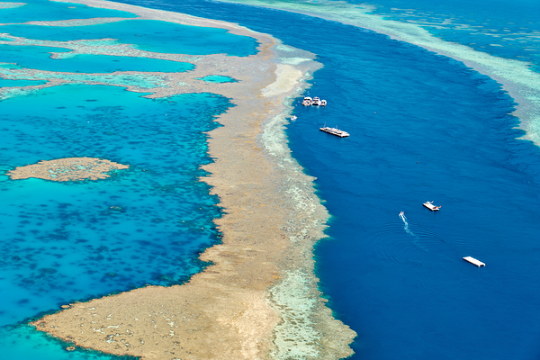 Aerial view of coral reefs and boats in turquoise ocean. Digital Download