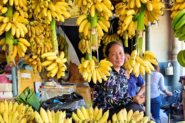 Market vendor surrounded by abundant yellow bananas. Digital Download