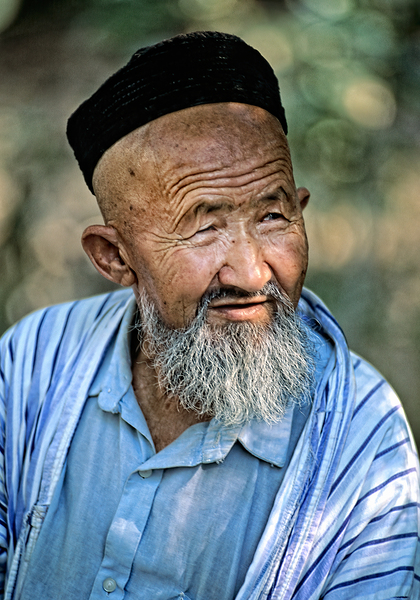 Elderly man with a beard in Bukhara Uzbekistan Digital Download