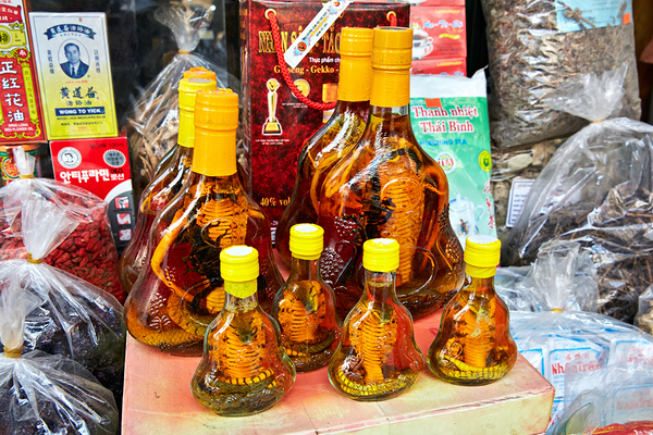 Vietnamese snake wine bottles displayed in Hanoi market Digital Download
