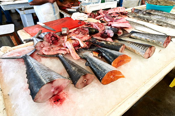 Fresh fish and seafood displayed on ice in Dubai market Digital Download