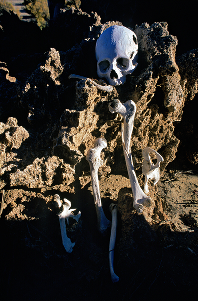 Human skeleton partially buried in rocky terrain. Digital Download