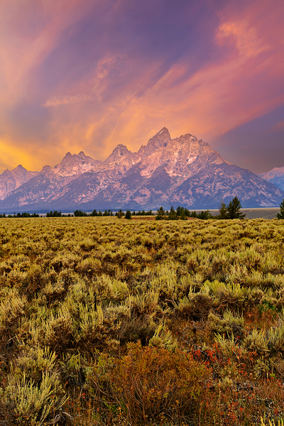 Grand Teton National Park view during the evening light Digital Download