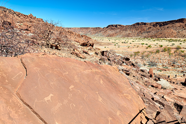 Prehistoric rock engravings in Twyfelfontein Kunene region Digital Download