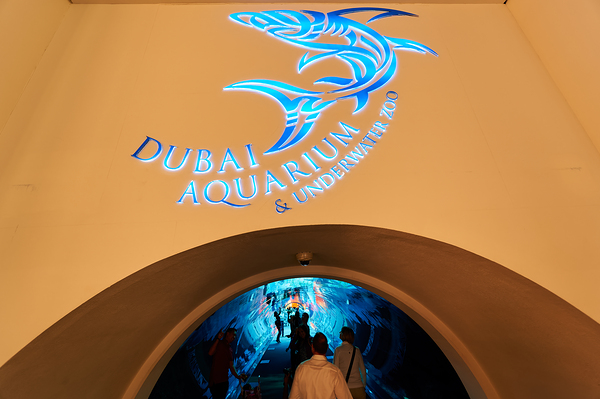 Entrance to Dubai Aquarium Underwater Zoo with glowing shark sig Digital Download