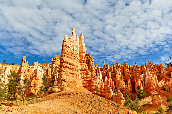 NP USA 00669 Digital Download