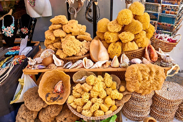 Salento. Apulia Puglia Italy. Gallipoli. Natural sea sponges Digital Download