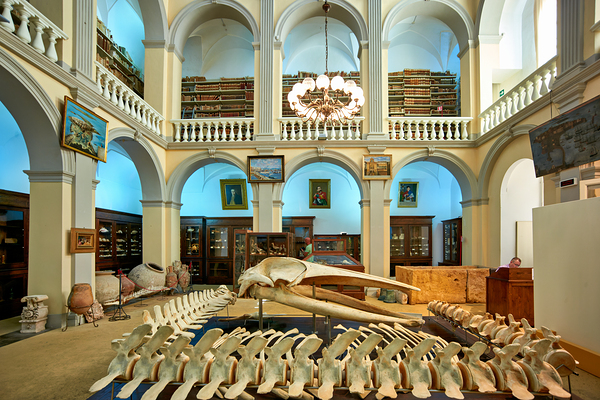 Salento. Apulia Puglia Italy. Gallipoli. Civic Museum Emanuele Barba Digital Download