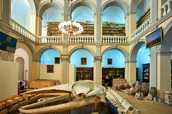 Salento. Apulia Puglia Italy. Gallipoli. Civic Museum Emanuele Barba Digital Download