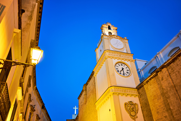 Salento. Apulia Puglia Italy. Gallipoli. The cathedral at night Digital Download