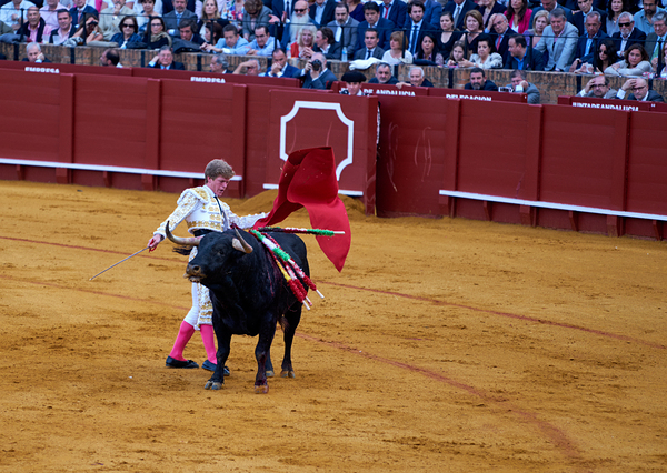 ANDALUSIA SPAIN. Bullfight in Seville Arena Digital Download