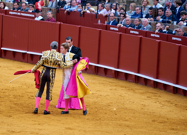 ANDALUSIA SPAIN. Bullfight in Seville Arena Digital Download