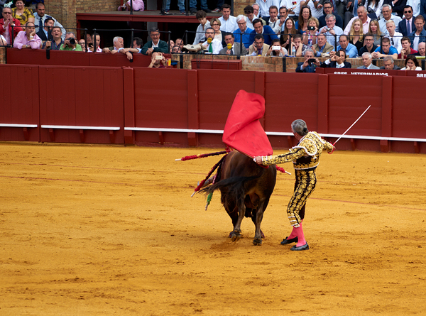 ANDALUSIA SPAIN. Bullfight in Seville Arena Digital Download