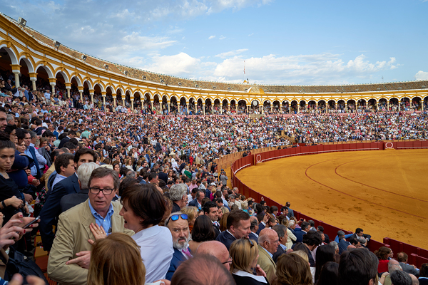 ANDALUSIA SPAIN. Bullfight in Seville Arena Digital Download