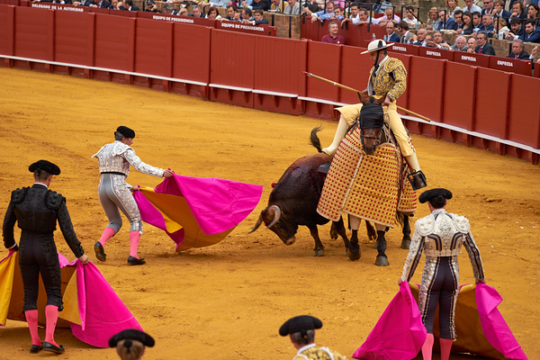 ANDALUSIA SPAIN. Bullfight in Seville Arena Digital Download