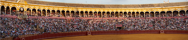 ANDALUSIA SPAIN. Bullfight in Seville Arena Digital Download