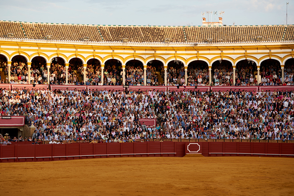 ANDALUSIA SPAIN. Bullfight in Seville Arena Digital Download