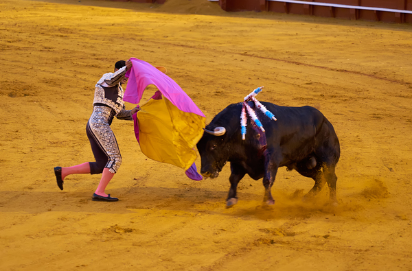 ANDALUSIA SPAIN. Bullfight in Seville Arena Digital Download