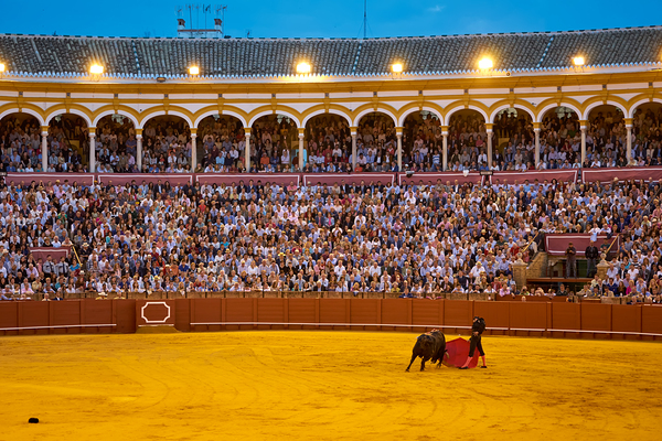 ANDALUSIA SPAIN. Bullfight in Seville Arena Digital Download