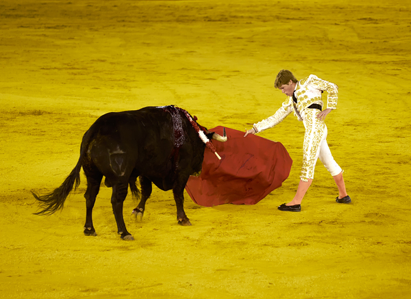 ANDALUSIA SPAIN. Bullfight in Seville Arena Digital Download