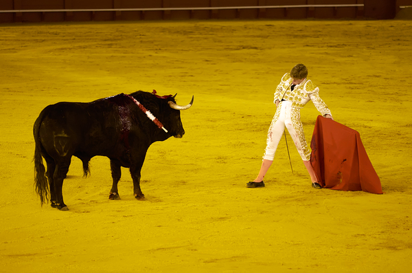 ANDALUSIA SPAIN. Bullfight in Seville Arena Digital Download