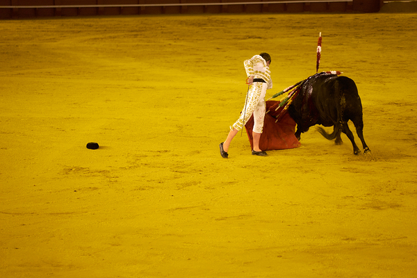 ANDALUSIA SPAIN. Bullfight in Seville Arena Digital Download