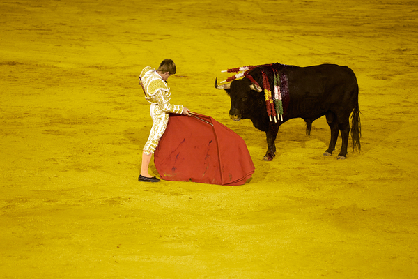 ANDALUSIA SPAIN. Bullfight in Seville Arena Digital Download