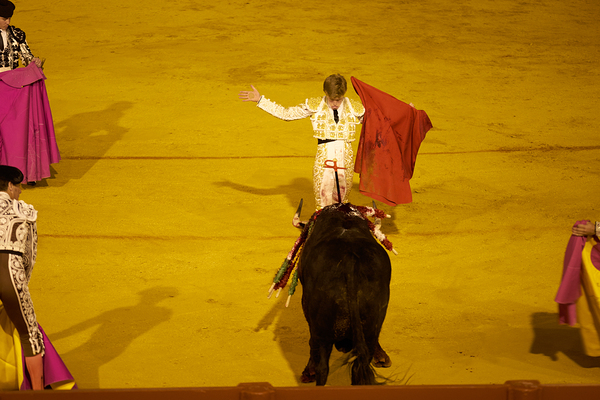ANDALUSIA SPAIN. Bullfight in Seville Arena Digital Download