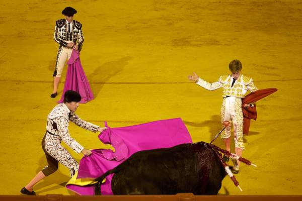 ANDALUSIA SPAIN. Bullfight in Seville Arena Digital Download