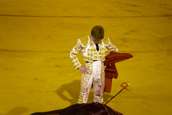 ANDALUSIA SPAIN. Bullfight in Seville Arena Digital Download