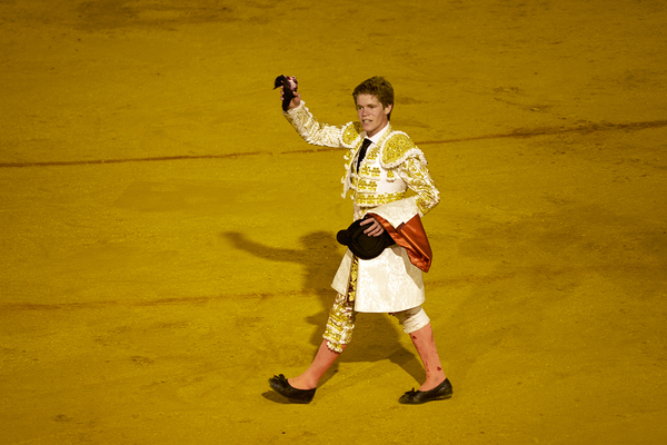 ANDALUSIA SPAIN. Bullfight in Seville Arena Digital Download