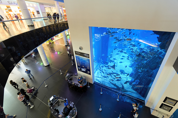 Dubai. UAE. Aquarium and underwater zoo Digital Download