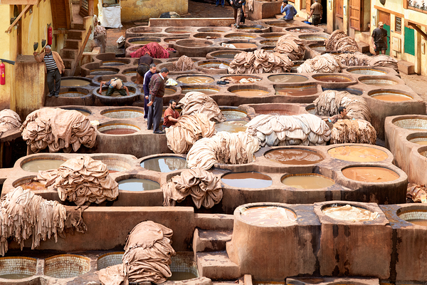 Morocco Fez. Chouara Tannery Digital Download