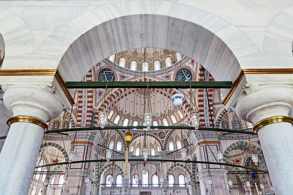 Istanbul Turkey. The Fatih Mosque Digital Download