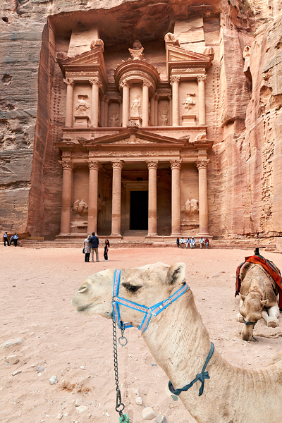 Jordan. Petra archaeological city. Al Khazneh the Treasury Digital Download