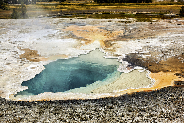 Depression Geyser. Yellowstone National Park. Wyoming. USA Digital Download
