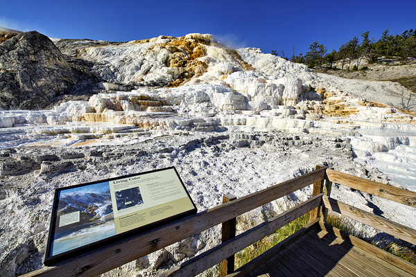 Palette Springs. Devils thumb at the Mammoth Hot Springs. Yellowstone National Park. Wyoming. USA. Digital Download
