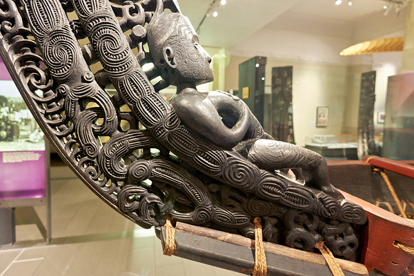 Auckland. New Zealand. Auckland War Memorial Museum. Maori Natural History Gallery Digital Download