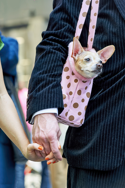 New York. Manhattan. United States. The Easter parade is an American cultural event consisting of a festive strolling procession on Easter Sunday. Digital Download