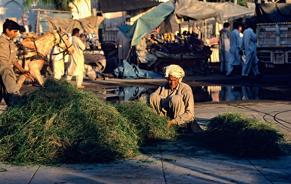 Pakistan. The street market in Lahore Digital Download