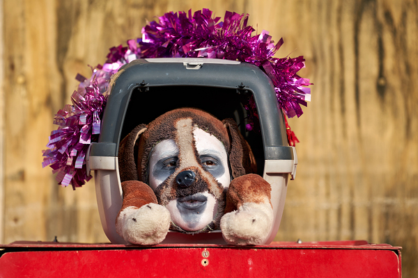 Venice Italy. The Carnival Digital Download