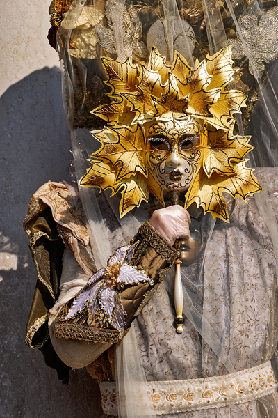 Venice Italy. The Carnival Digital Download