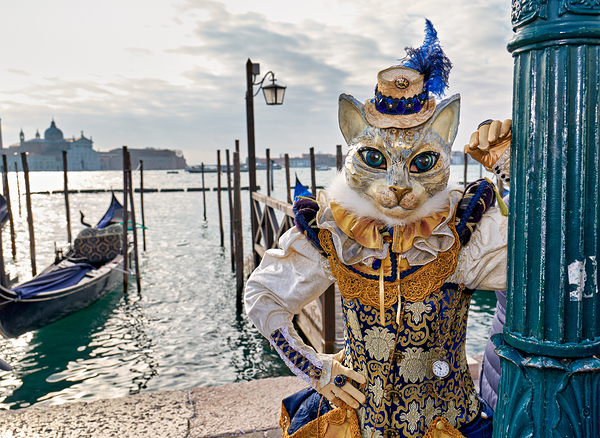 Venice Italy. The Carnival Digital Download