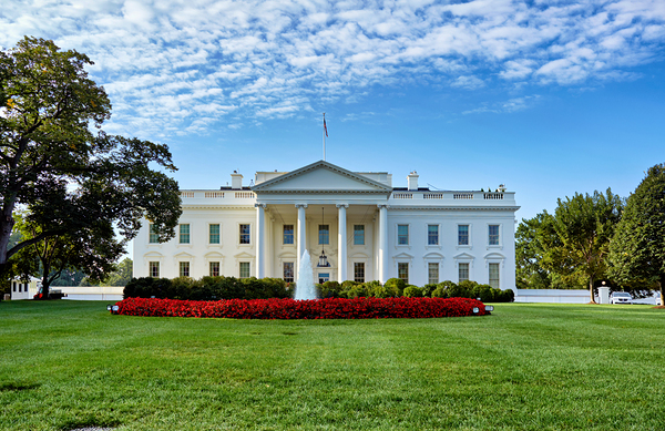 The White House. Washington D.C. Digital Download