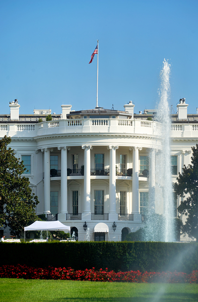 The White House. Washington D.C. Digital Download