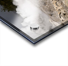 Rotorua. New Zealand. Whakarewarewa the living Maori Village. Hot springs Acrylic print